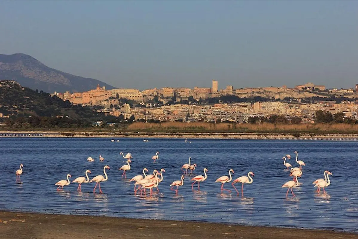 Apartment La Maison Boheme By Fra Cielo E Mare Cagliari